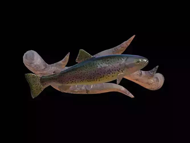 RAINBOW UNDERWATER STATUE ON THE WALL DETAILED TEXTURE 3D print model