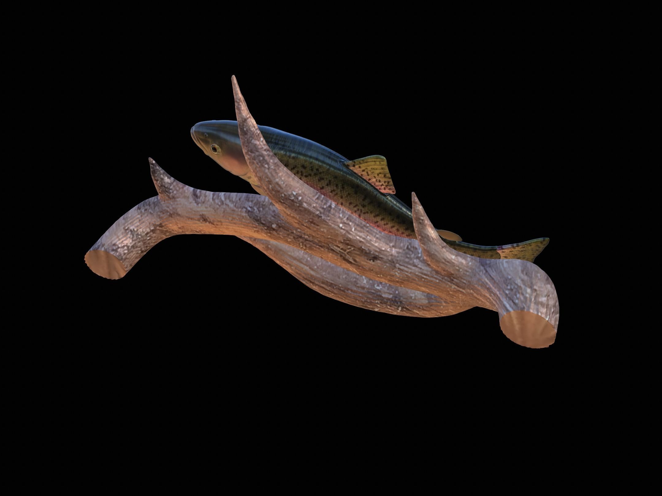 RAINBOW UNDERWATER STATUE ON THE WALL DETAILED TEXTURE 3D print model_6