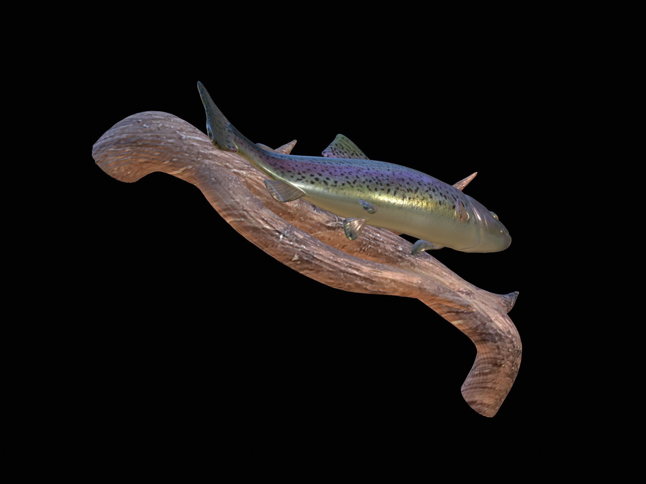 RAINBOW UNDERWATER STATUE ON THE WALL DETAILED TEXTURE 3D print model_8