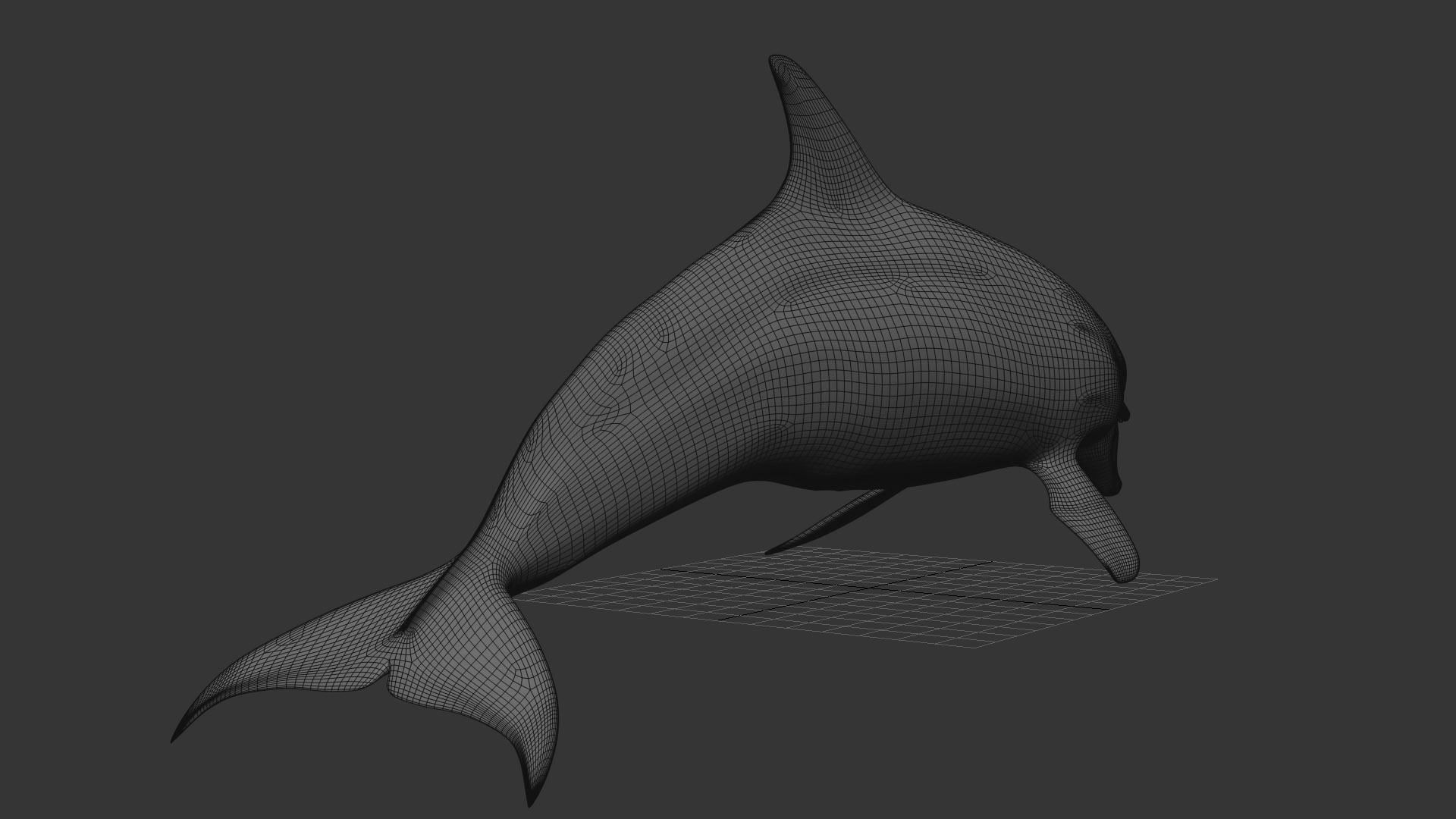 3D Animated Dolphin 3D model_23