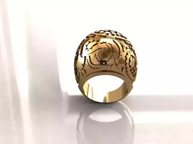 Aqua Ring Carrera y Carrera 4