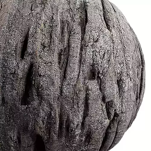 Bark Seamless Texture 2K - EXR 5 - JPG 5 Texture