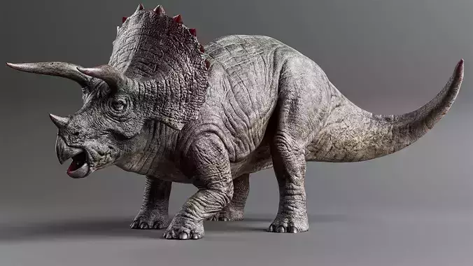 TRICERATOPS