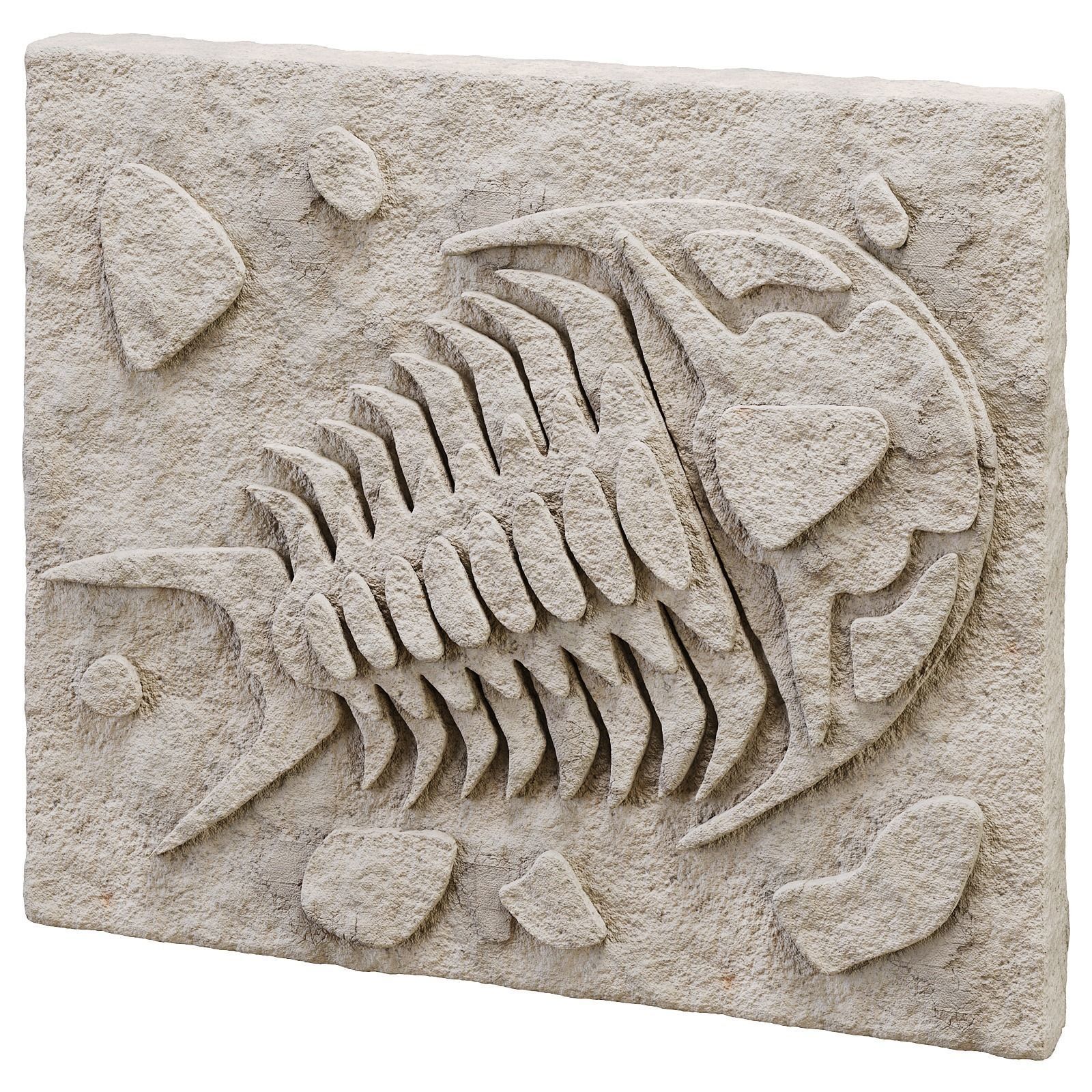 DIY Fossil Art Collection 3D model_2