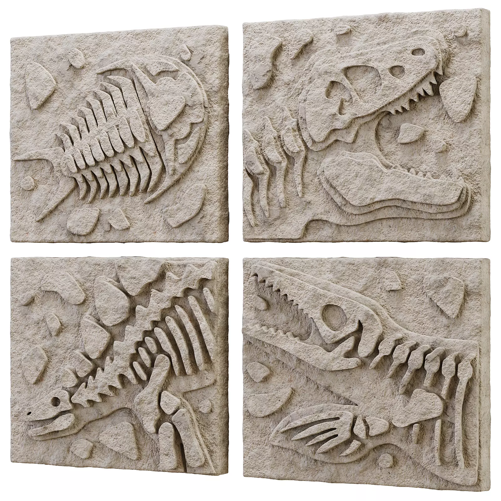 DIY Fossil Art Collection 3D model_0