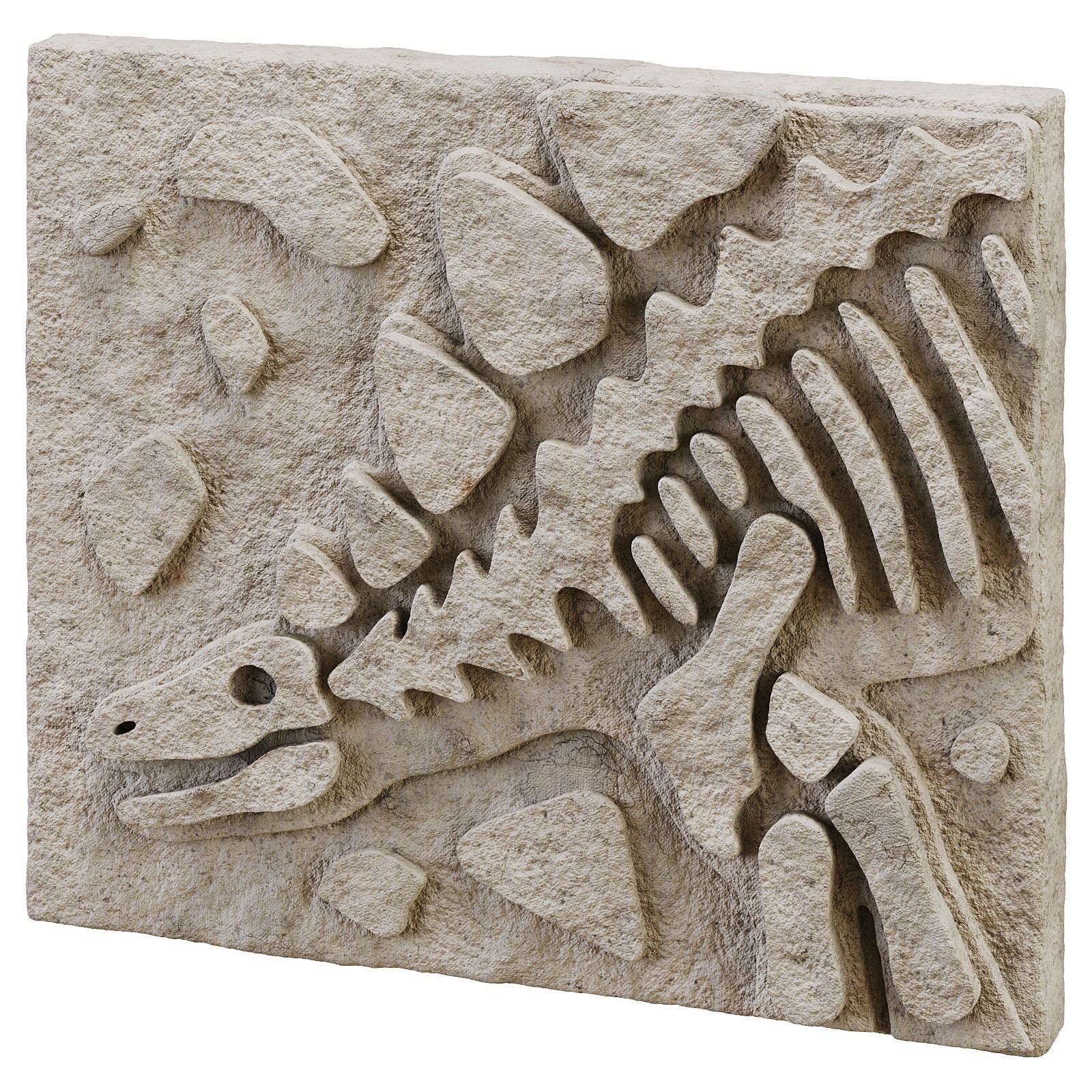 DIY Fossil Art Collection 3D model_3