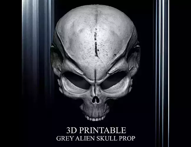 3D PRINTABLE GREY ALIEN SKULL PROP 3D print model