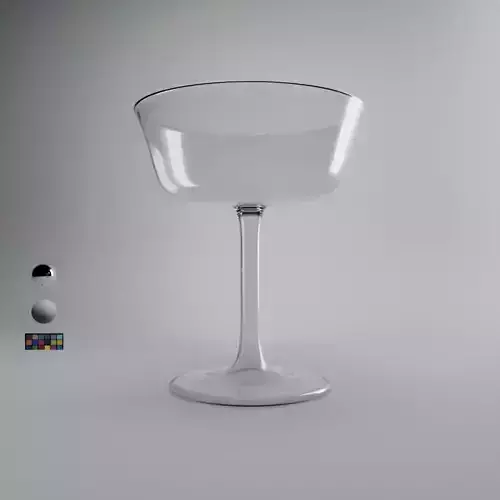 Fizzio Champagne Glass 3D model
