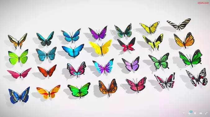 Butterfly Pack