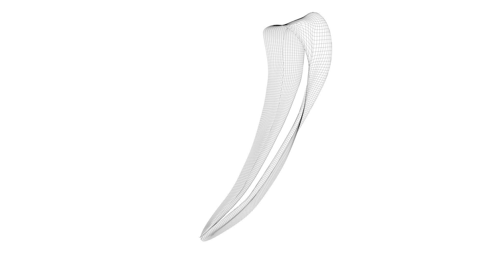 Dress collars scarves and necklaces decorated 3d models 3D model_1