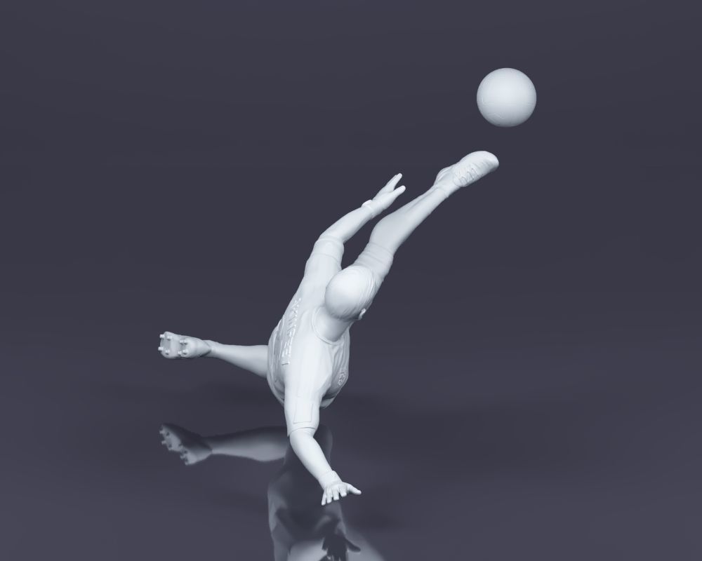 S00027 Igor Akinfeev 3dp 3D print model_3