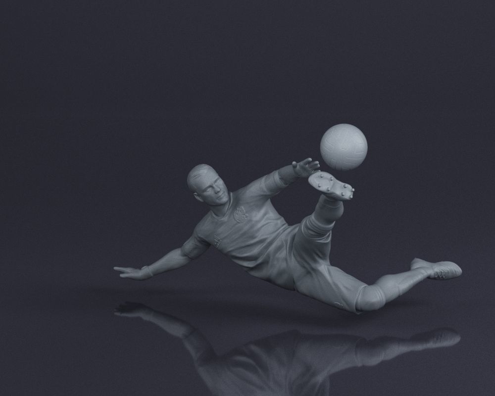 S00027 Igor Akinfeev 3dp 3D print model_13