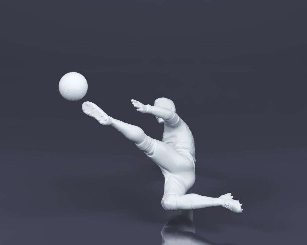 S00027 Igor Akinfeev 3dp 3D print model_5