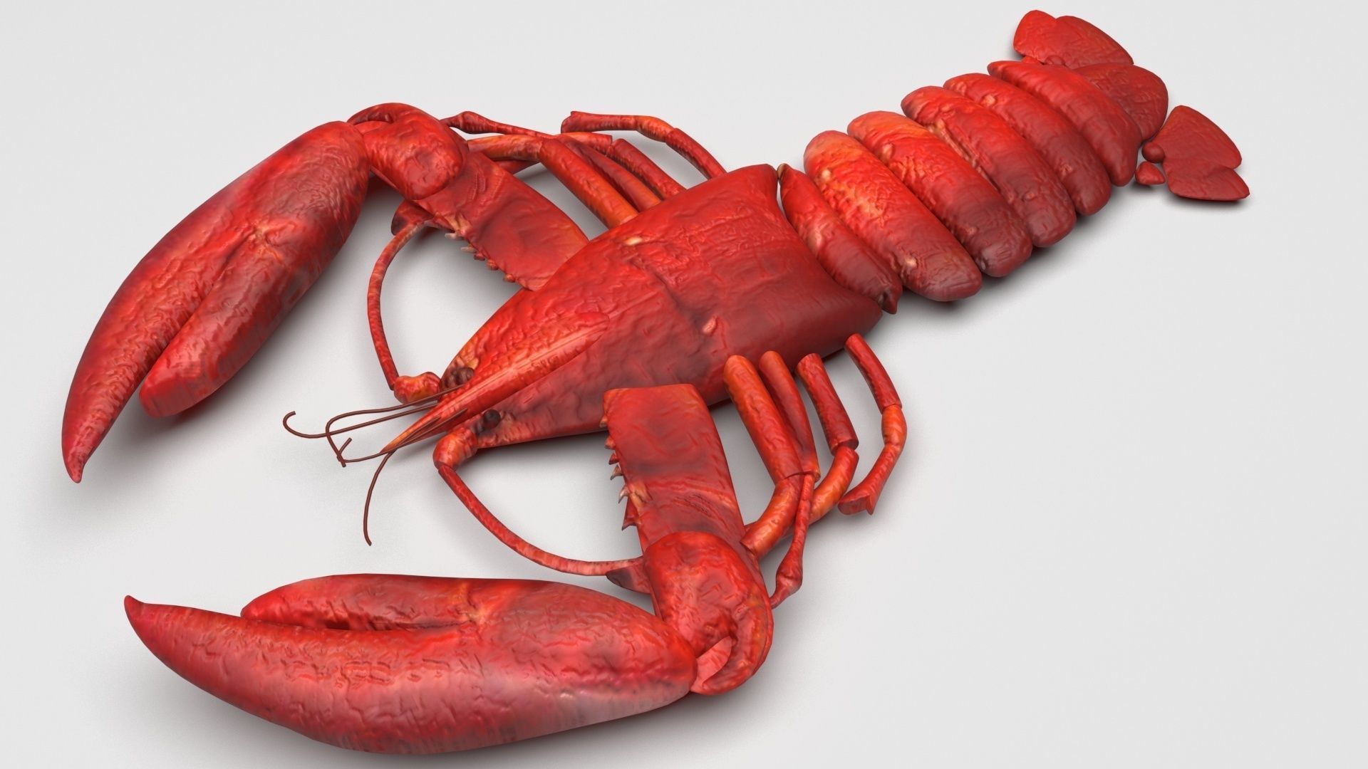 Lobster 3D model_5