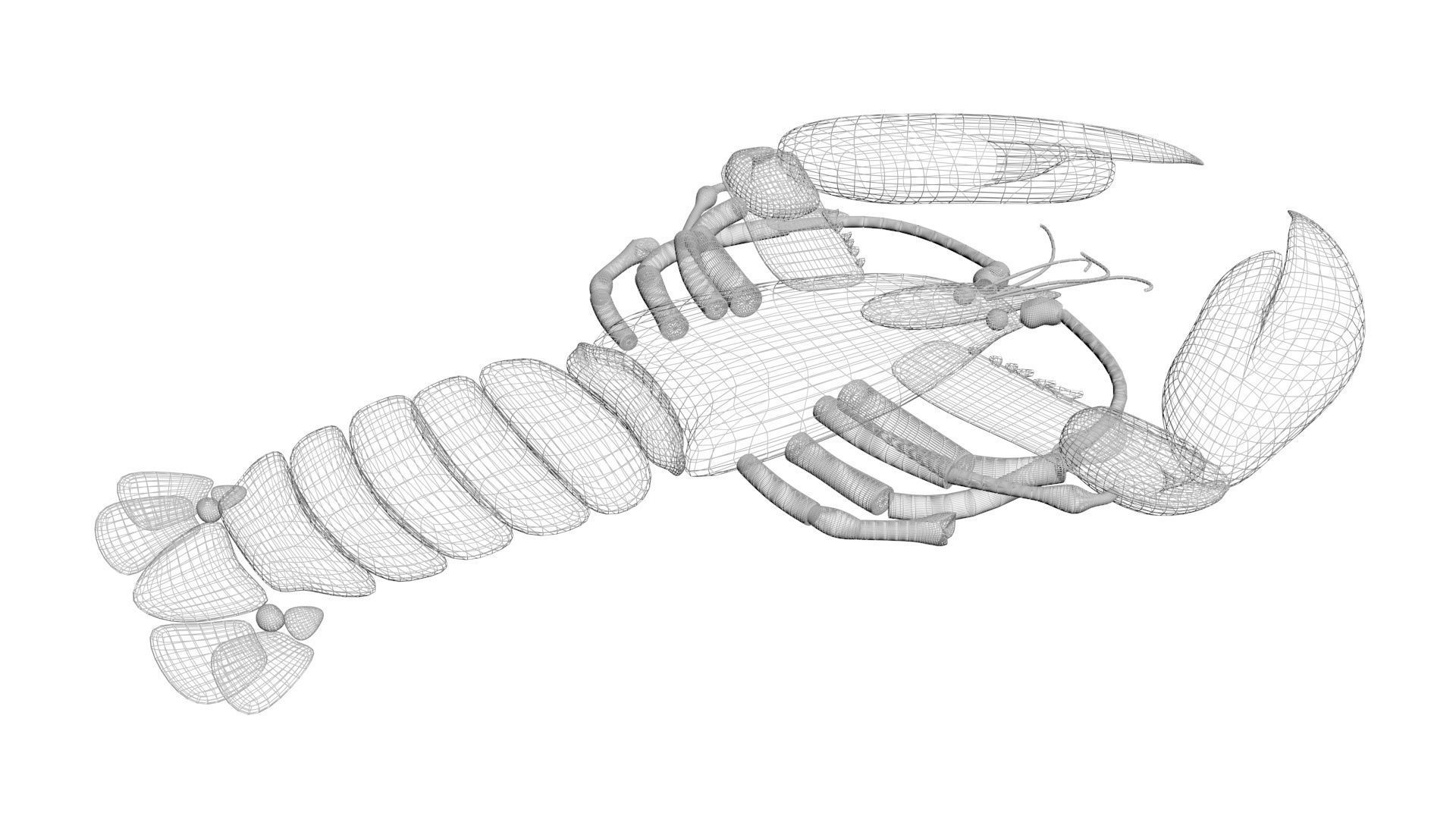 Lobster 3D model_22