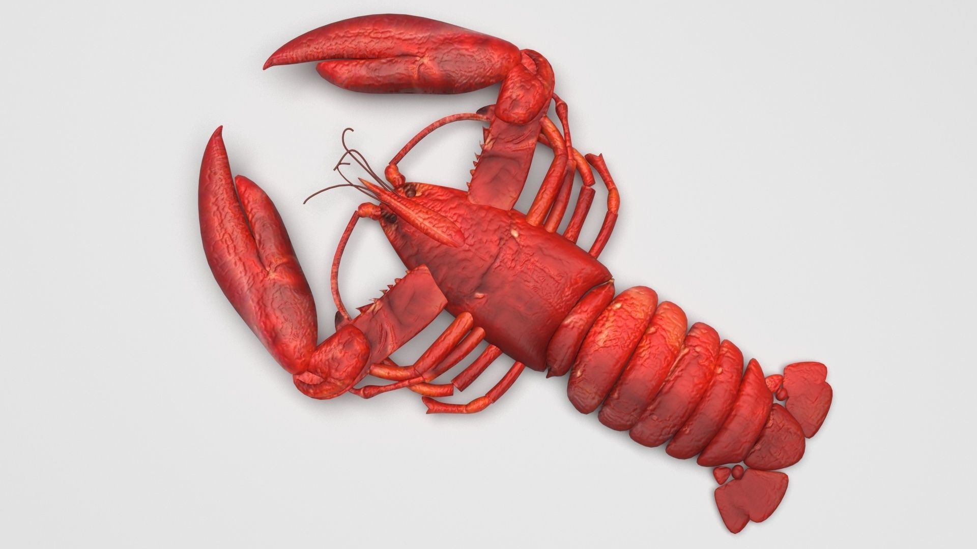 Lobster 3D model_1