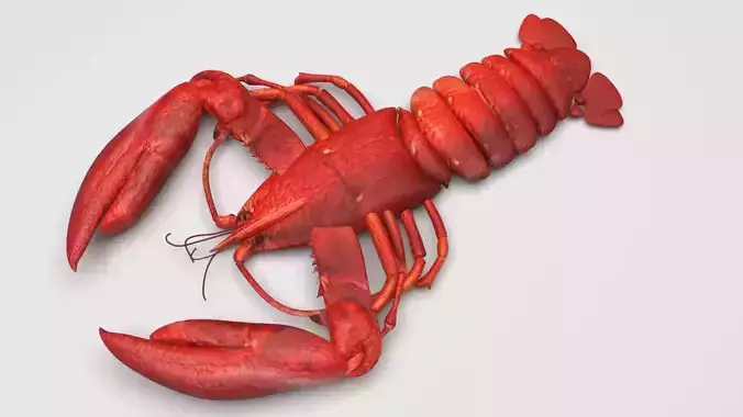 Lobster 3D model