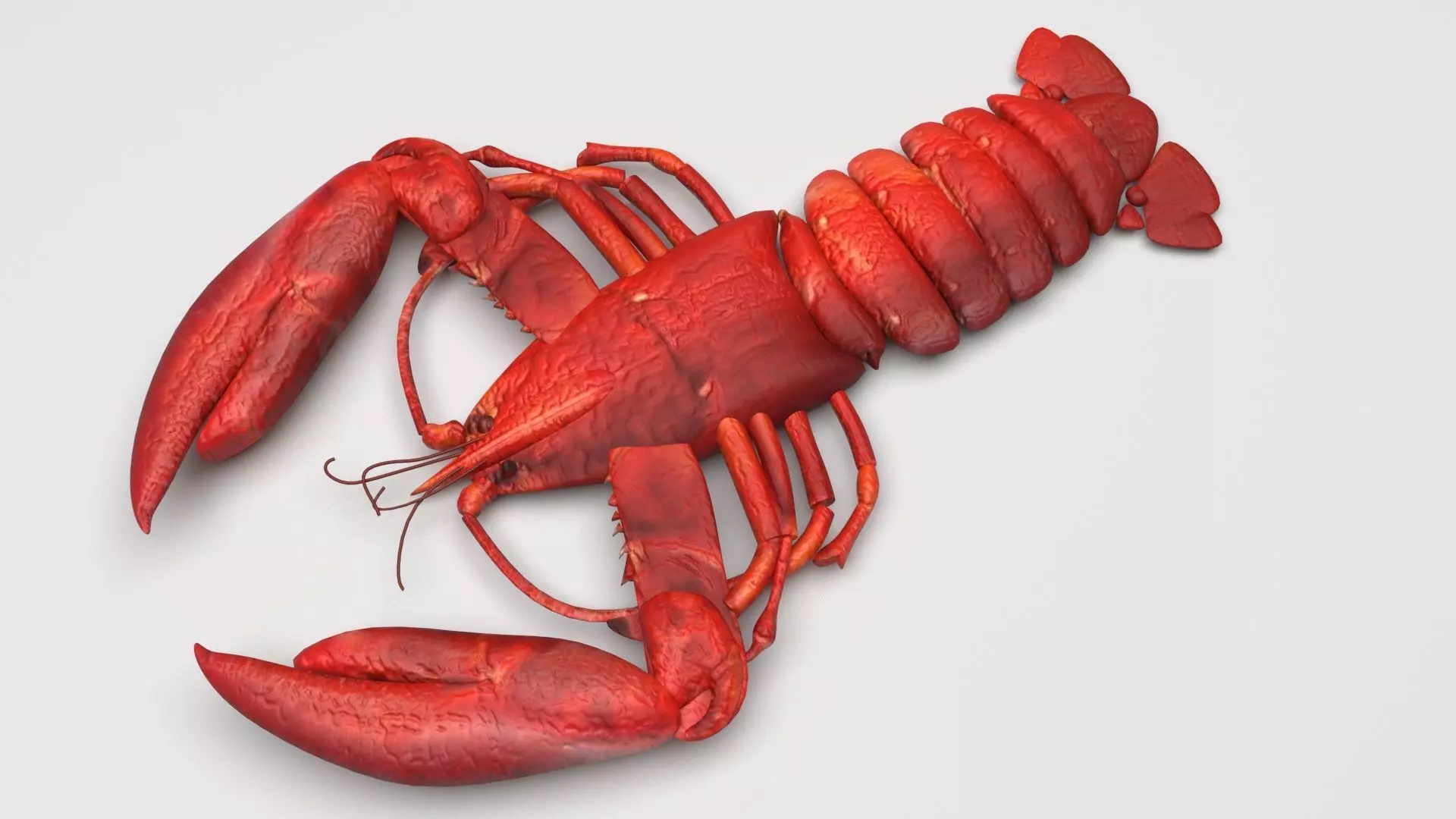 Lobster 3D model_0