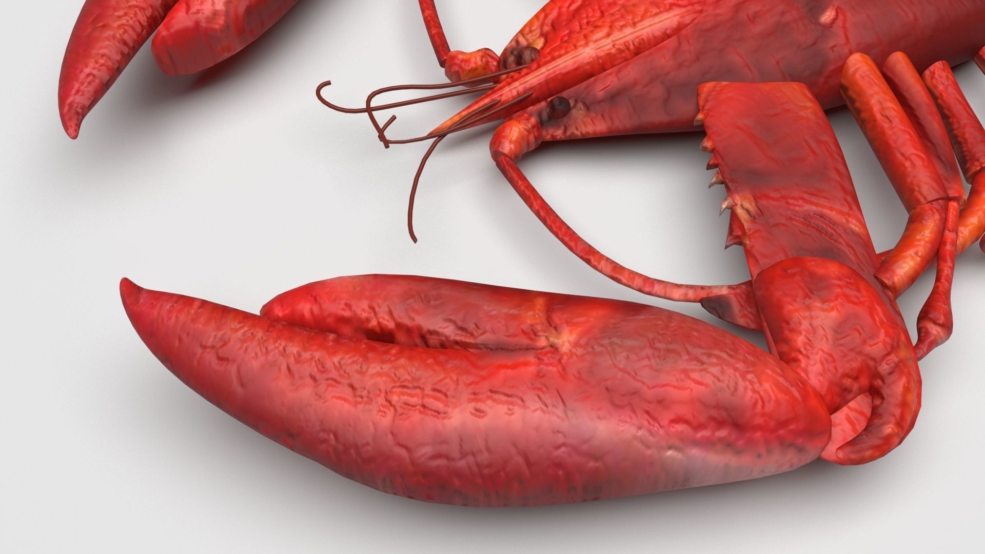 Lobster 3D model_4