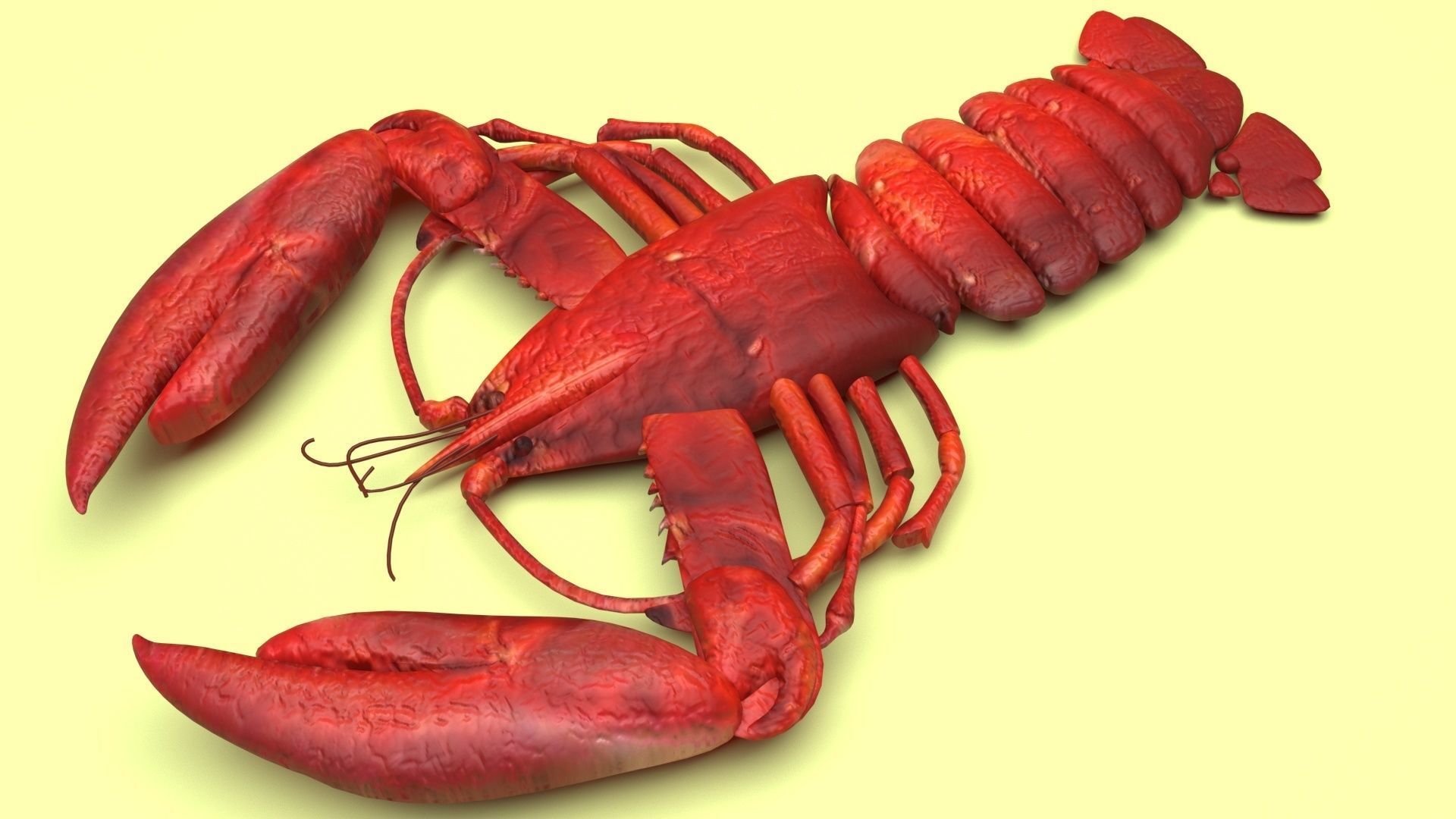 Lobster 3D model_6