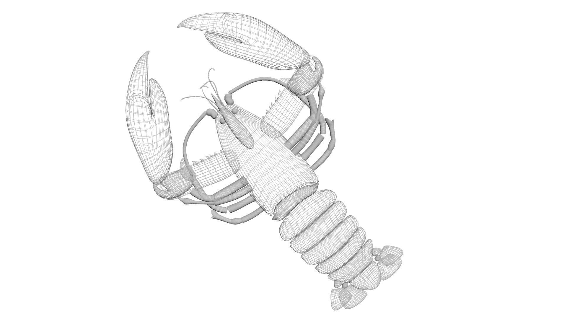 Lobster 3D model_21