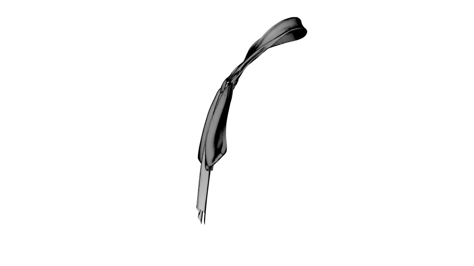 Dress collars scarves and necklaces decorated 3d models 3D model_8