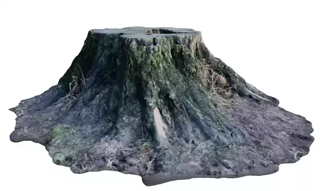 Tree Stump - 8K UHD 3D Scan Model 