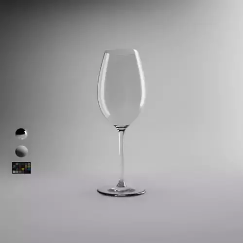 Sauvignon Blanc Wine Glass 3D model
