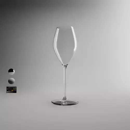 Tulip Champagne Glass 3D model
