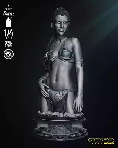 STAR WARS Leia Bust  Tested for 3D printing 