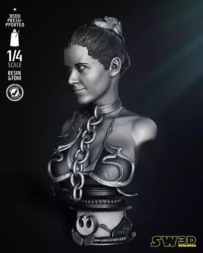 STAR WARS Leia Bust Portrait Tested for 3D printing