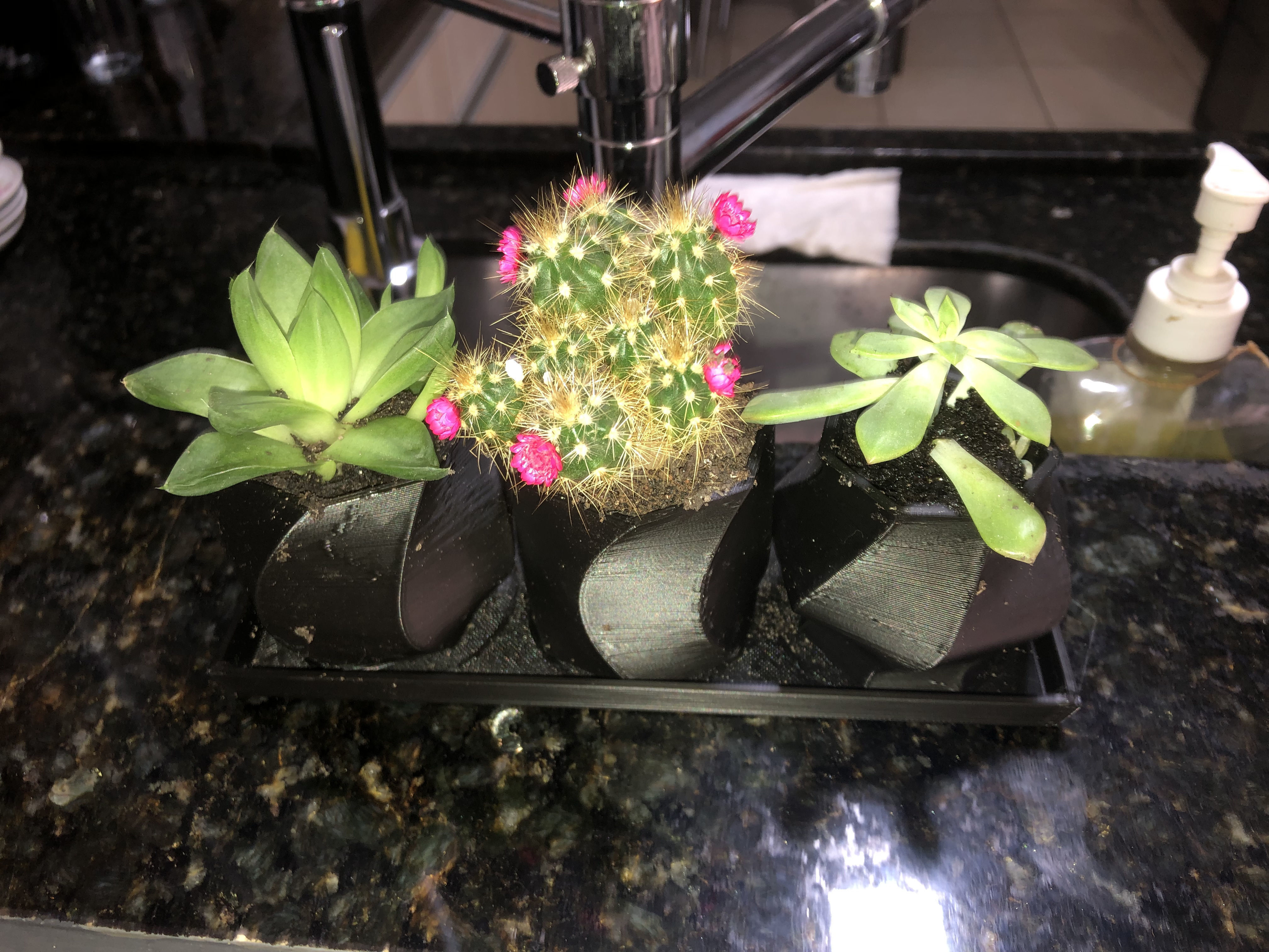 Heptagon Planter Trio 3D print model_13