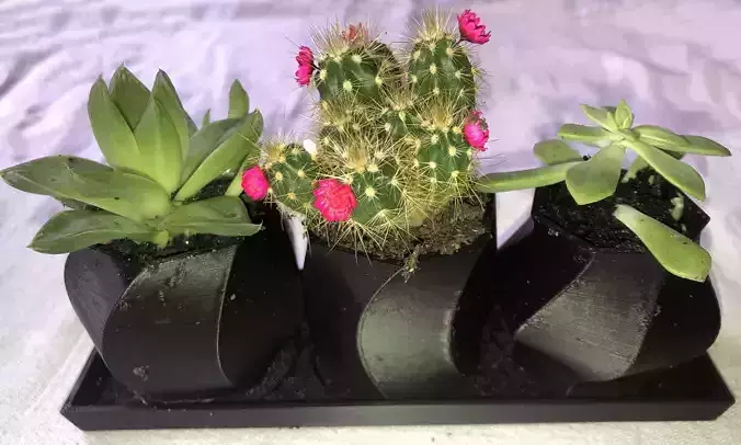 Heptagon Planter Trio