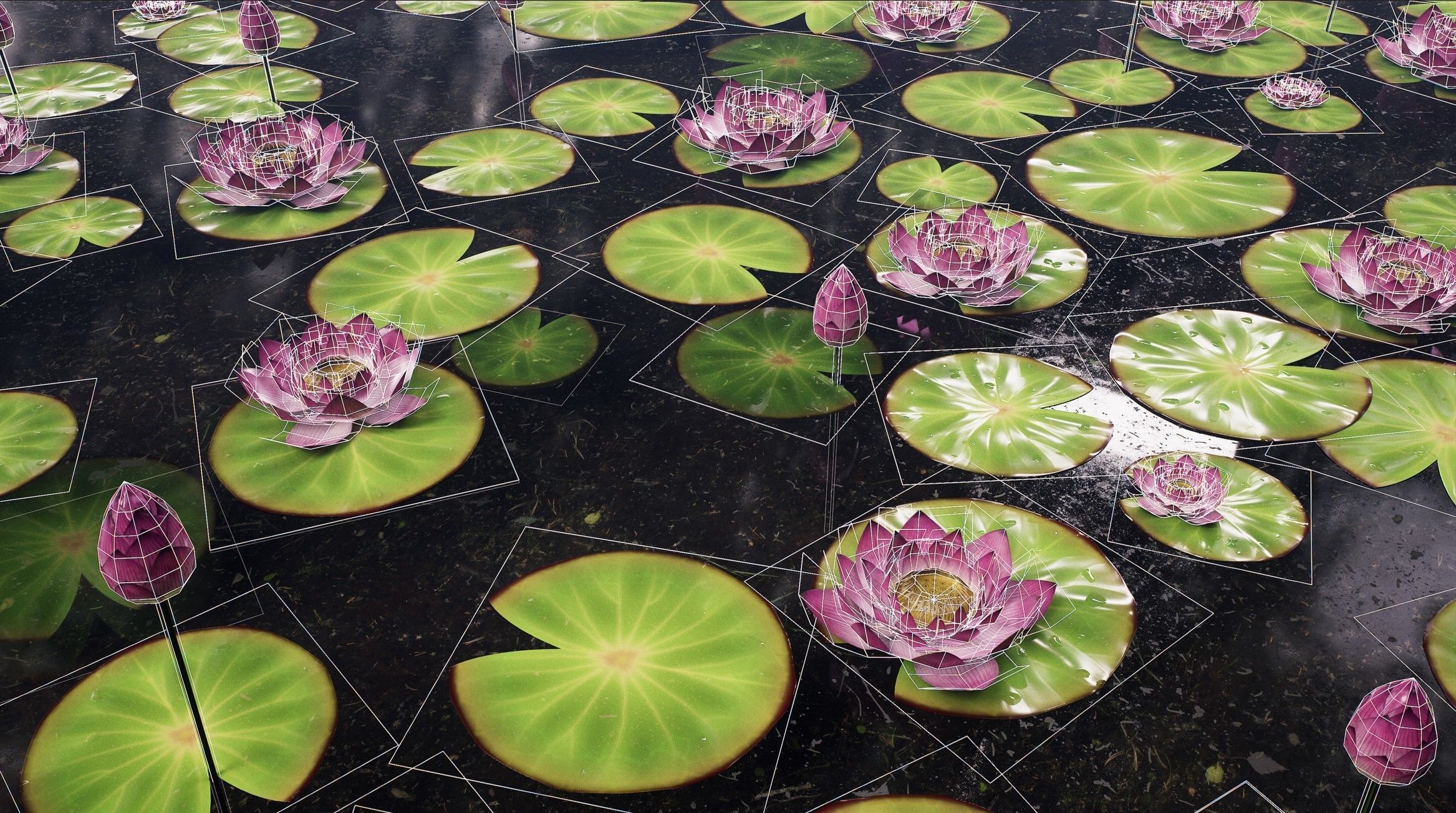 Lotus flower in closed and open form Low-poly 3D model_2