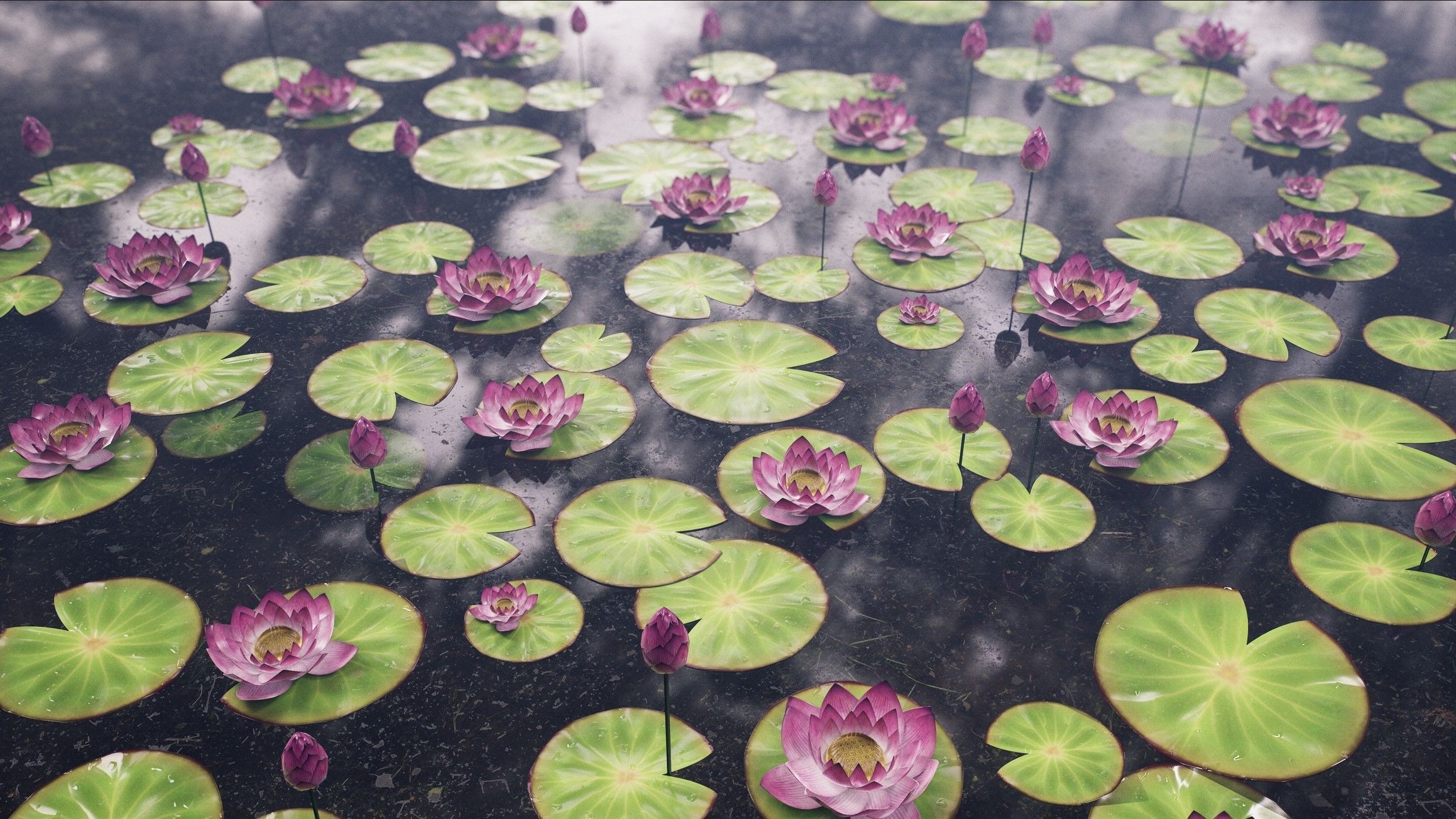 Lotus flower in closed and open form Low-poly 3D model_1