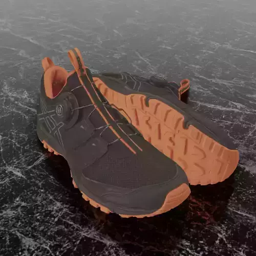 ASICS GEL FUJI RADO 3D SHOES