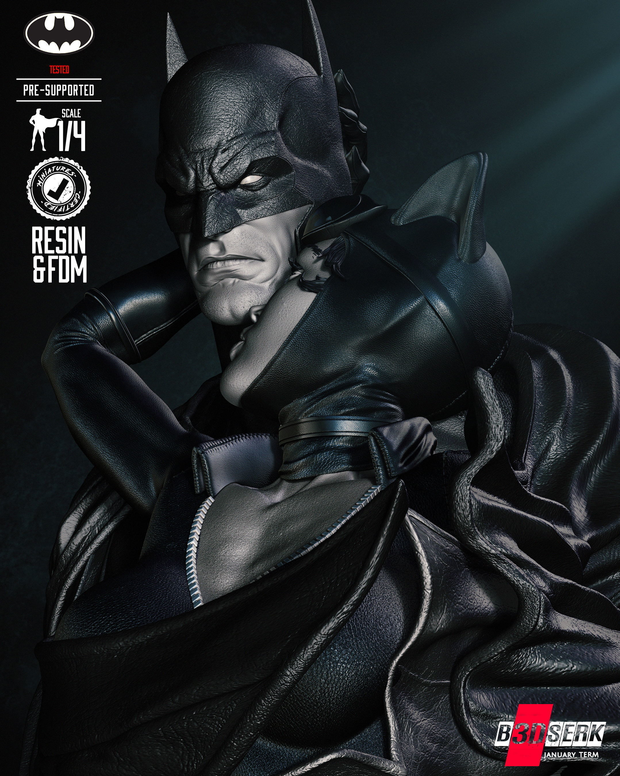 B3DSERK Catwoman and Batman Bust Tested for 3D printing 3D print model_19