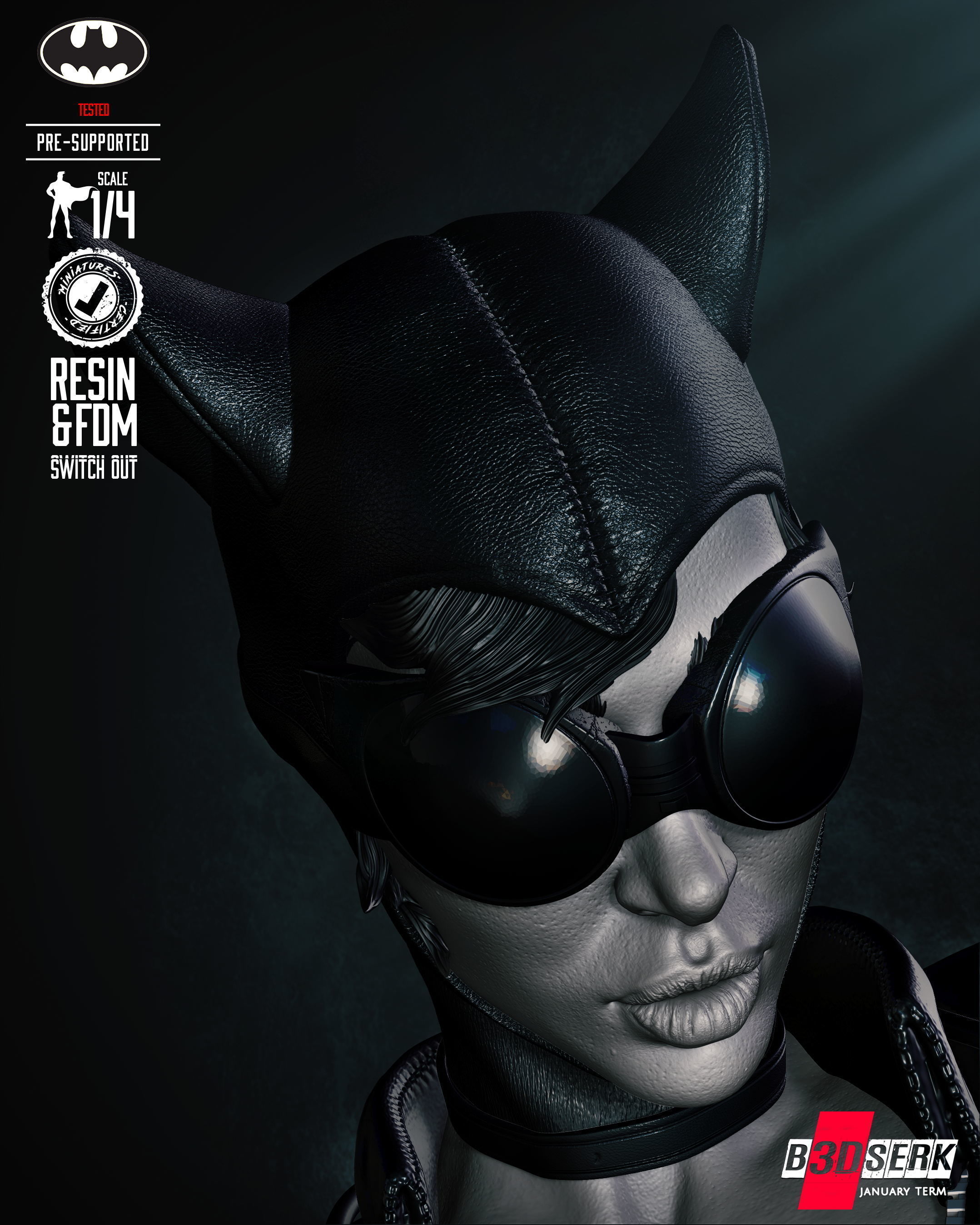 B3DSERK Catwoman Bust Tested for 3D printing 3D print model_33
