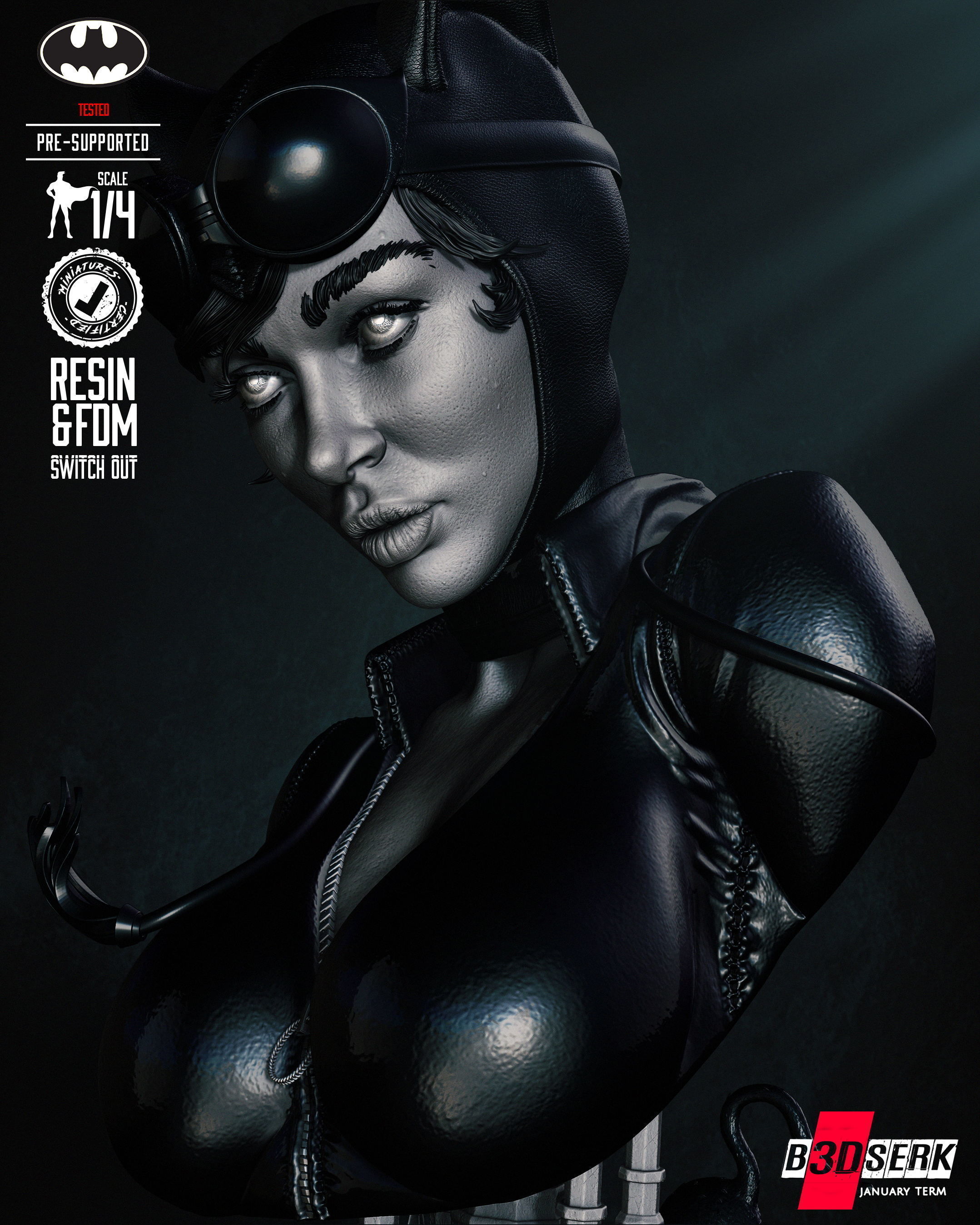 B3DSERK Catwoman Bust Tested for 3D printing 3D print model_24