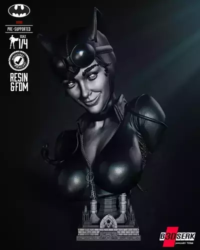 B3DSERK Catwoman Bust Tested for 3D printing