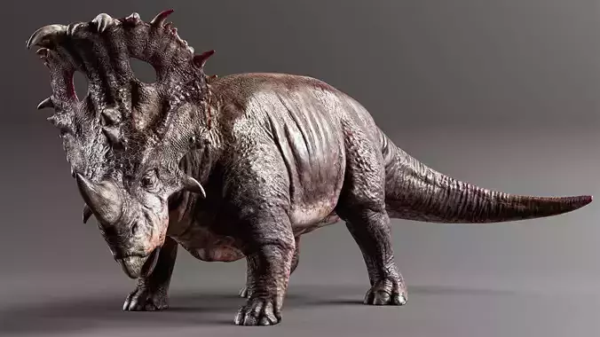 SINOCERATOPS