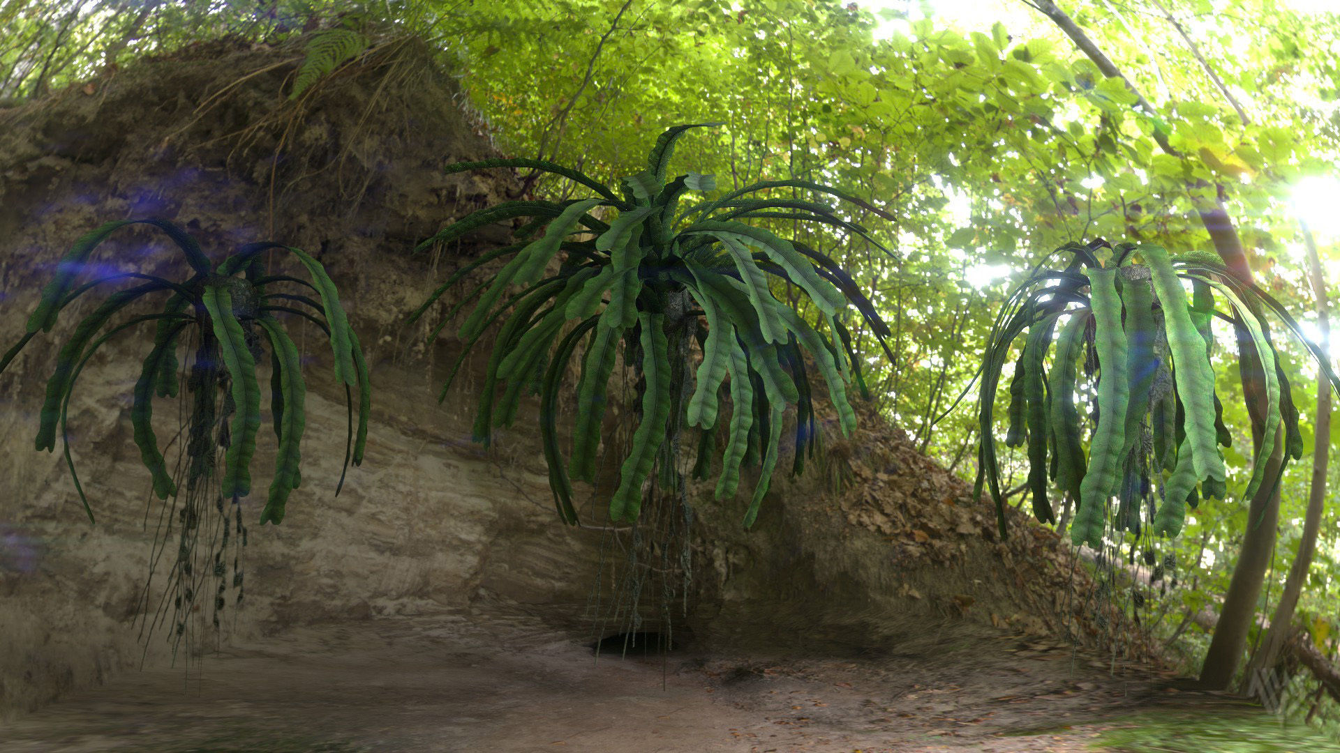 Baccaurea Lanceolata with 3 variation Low-poly 3D model_1