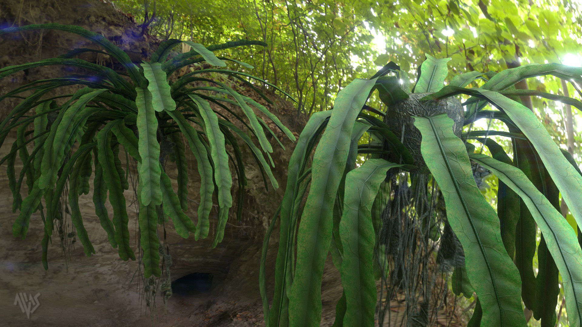 Baccaurea Lanceolata with 3 variation Low-poly 3D model_3