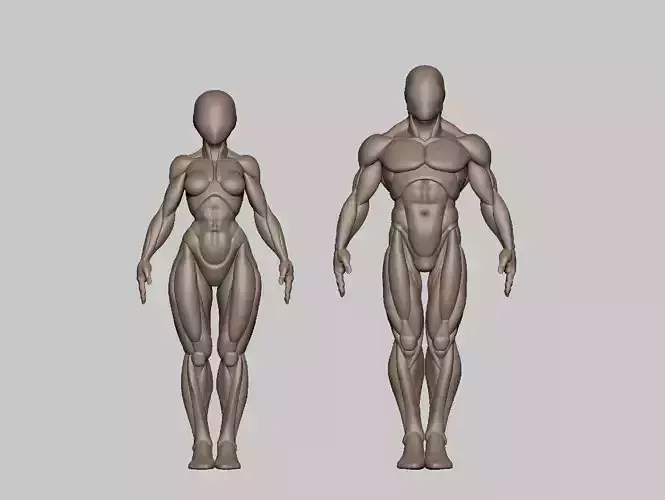 Pack 35 mm basemeshes