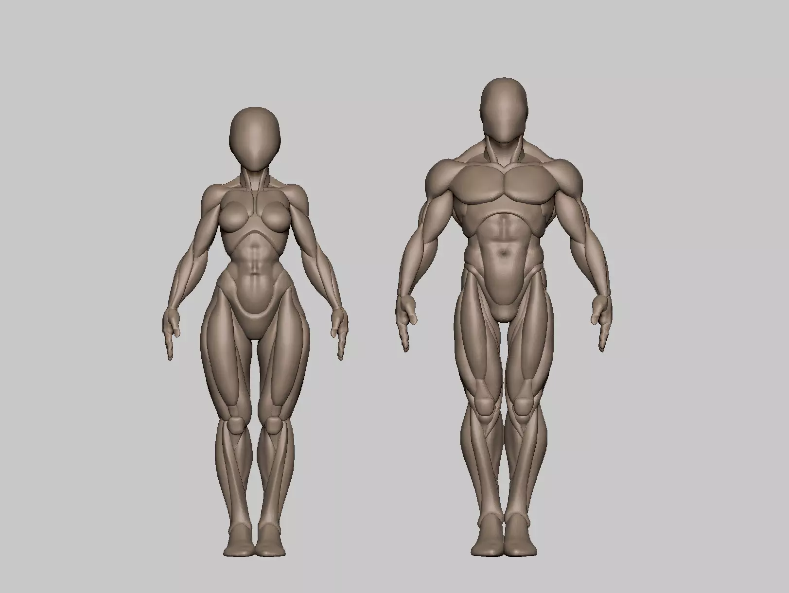 Pack 35 mm basemeshes 3D print model_0