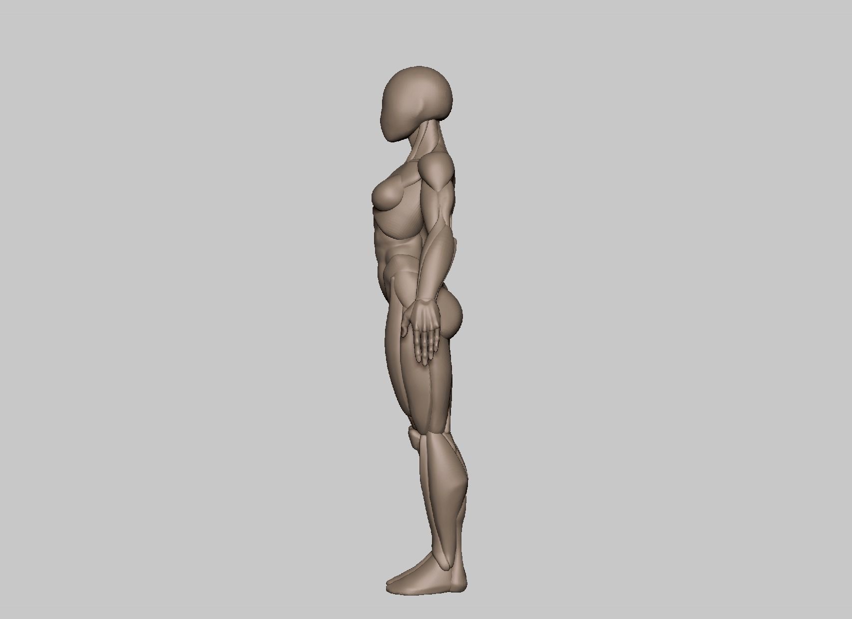 Pack 35 mm basemeshes 3D print model_9