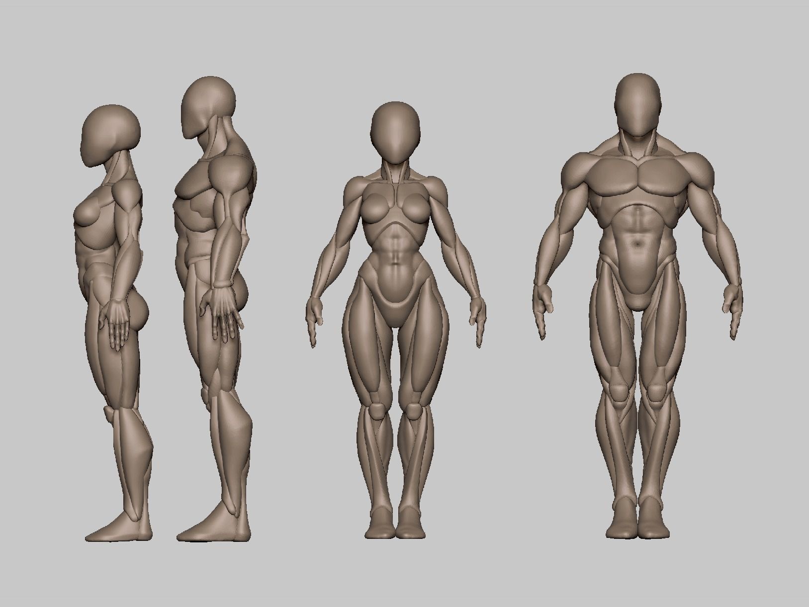 Pack 35 mm basemeshes 3D print model_3