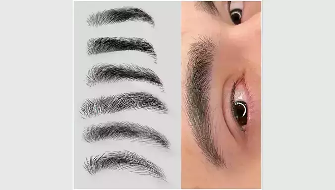 eyebrows on transparent background Texture