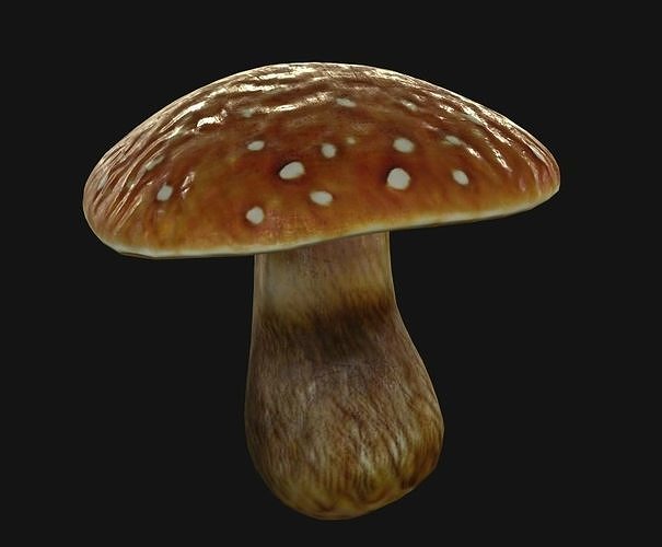 Brown Mushroom Low-poly 3D model