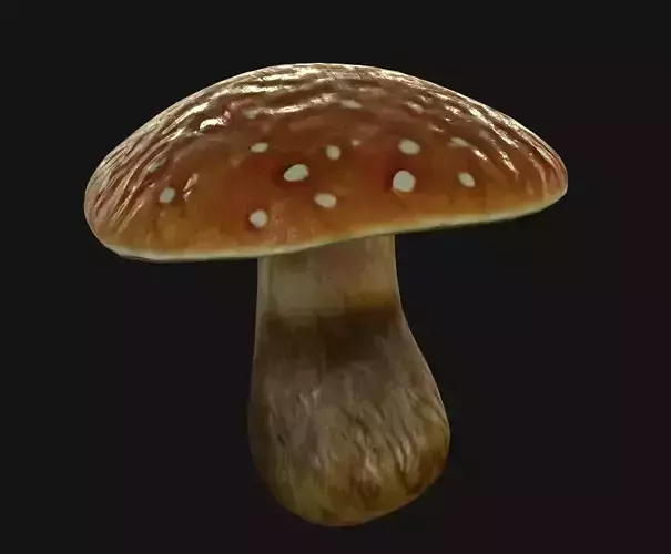 Brown Mushroom